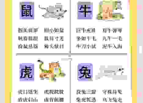 取长补短是什么动物？解析这个成语背后的生肖动物