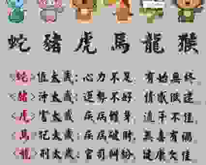 羽翼丰满指的是哪个生肖？看完这篇文章你就全明白了！
