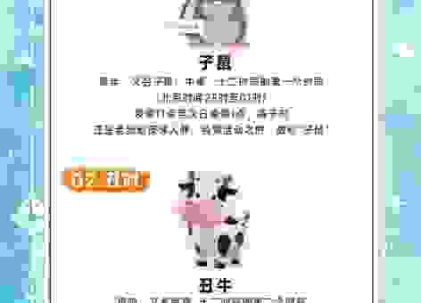 如饮醍醐指什么生肖？带你深入了解这个生肖的特点