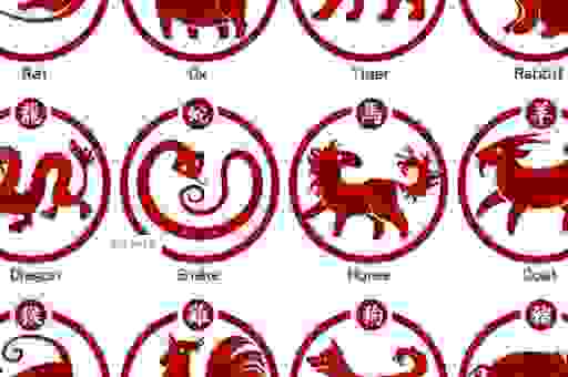 春满人间打一准确生肖怎么猜？这几个理由让你瞬间明白！