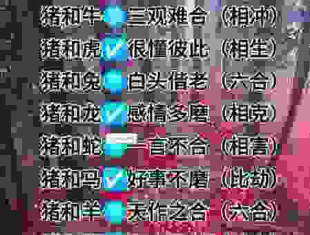 牧猪奴戏到底代表哪个生肖？资深玩家为你在线解惑