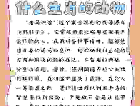 广开门路是什么生肖动物？这些理由帮你快速锁定目标！
