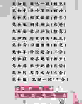 剖腹藏珠马上飞是什么生肖？深度解析生肖背后的含义！