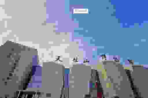 潜山隐市是什么意思？这篇科普文章把词义讲透了