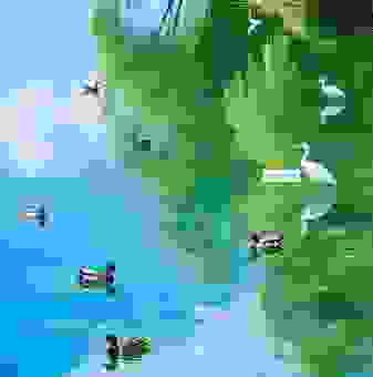 春光如海的意思解析：带你领略春天生机勃勃的美景