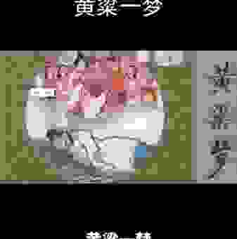 解密黄粱一梦开过什么生肖？分享几个经典的生肖故事