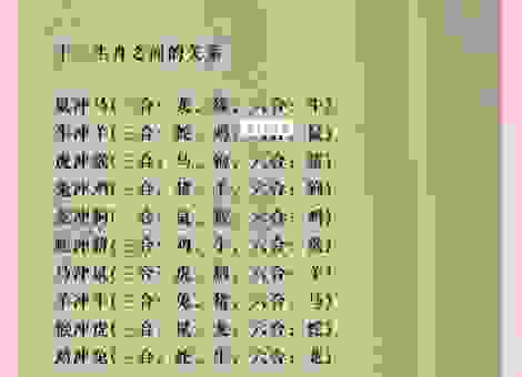 七孔八洞是什么生肖？看完这个生肖解析你就懂了