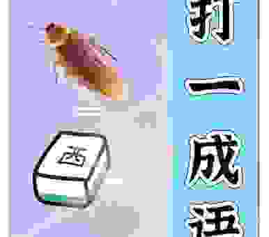 七擒七纵打一数字指的是谁？带你寻找正确的答案！