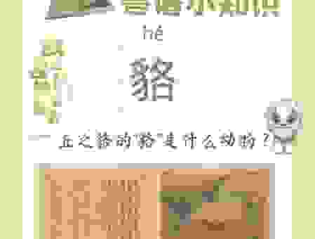 一丘之貉是什么意思？一分钟带你了解背后的含义