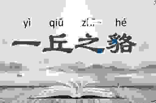 一丘之貉是什么意思？一分钟带你了解背后的含义