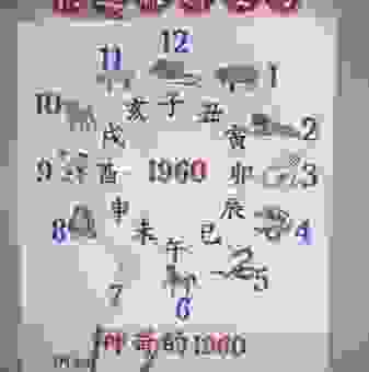 深居简出指什么生肖？民间高手教你如何快速推算生肖！