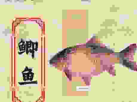 过江之鲫打一最佳生肖？带你揭秘成语背后的生肖秘密！