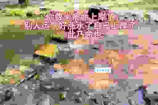 过江之鲫打一最佳生肖？带你揭秘成语背后的生肖秘密！
