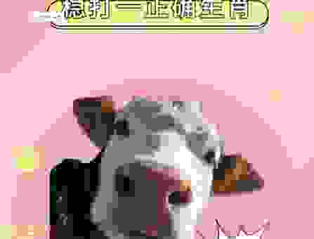 冥顽不灵打一动物指哪个生肖？看看到底说的是谁！
