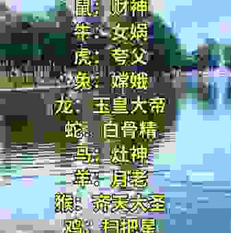 花好月圆是什么生肖？看看这些解析是否符合你的猜想