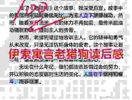 立竿见影打一最佳动物是谁？老辈人总结的经验很有道理！