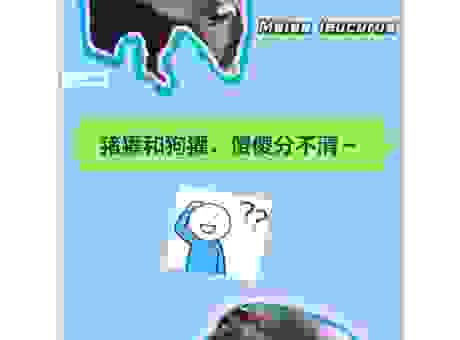 狐朋狗友是什么生肖？民间说法和传统生肖的关联