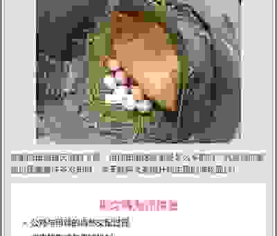 杀鸡取卵的意思是什么？带你深入了解它的背后含义