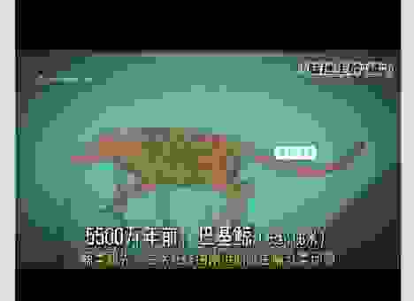 蚕食鲸吞什么意思怎么读？通过这些例子轻松学会！