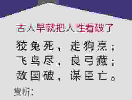 犬兔俱毙的意思及近义词，教你如何正确运用它！