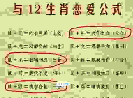 鼠腹鸡肠代表什么生肖？这个生肖的性格特点你一定想不到！