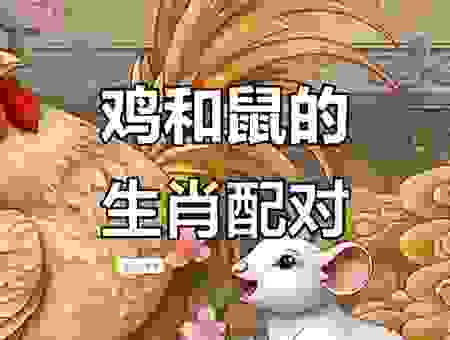 鼠腹鸡肠代表什么生肖？这个生肖的性格特点你一定想不到！