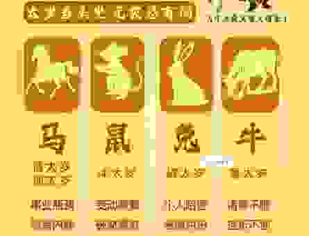 因循坐误打一正确生肖是什么？这个答案太出乎意料了！