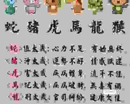 想知道泥菩萨过江自身难保是什么生肖吗？这篇攻略告诉你答案