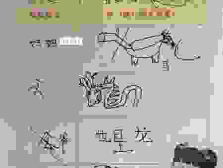 红不棱登打一个生肖怎么猜？教你快速找到谜题答案！