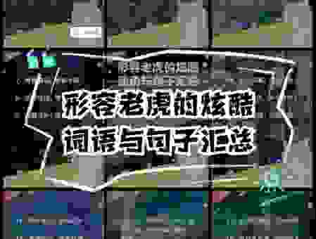 虎虎生威意思是什么？一篇文章带你全面了解！