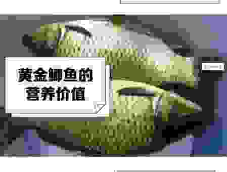 过江之鲫打一动物是什么生肖？老玩家教你快速找答案！