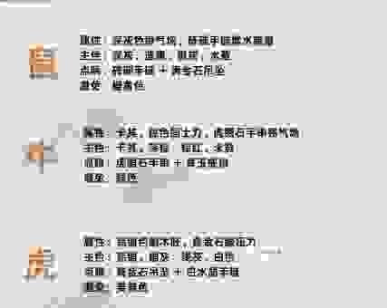 想知道覆水难收最准确的生肖吗？深度解析告诉你