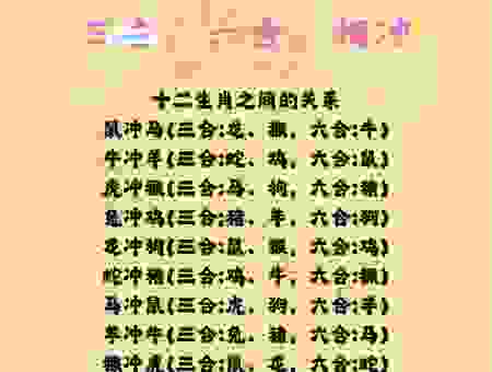 分合天下本一家代表什么生肖？三个角度帮你快速分析！