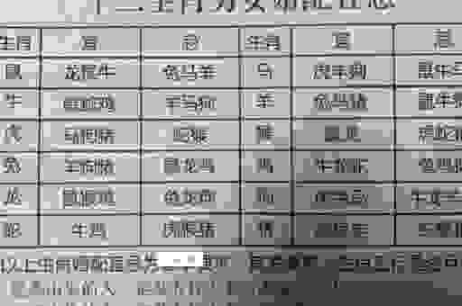 叱咤风云代表什么生肖？这几个答案最靠谱！