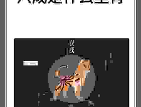月悬碧空打一生肖作答解释落实，专家为您揭开生肖谜底！
