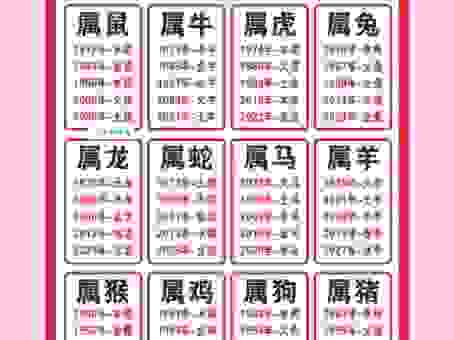 十二生肖哪些是山肖？这几个生肖的特征一定要知道！