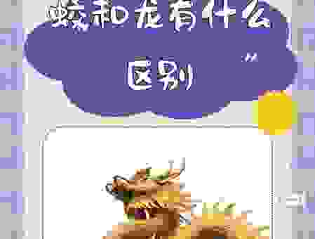 蛟龙戏水指是什么生肖？这几个理由告诉你真实答案！