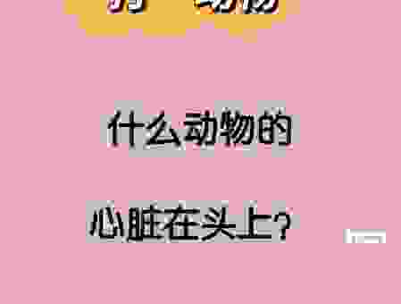 老态龙钟打一动物究竟指谁？这几个特征帮你快速找答案！
