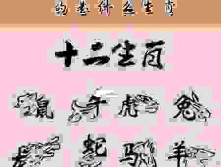 老态龙钟打一动物究竟指谁？这几个特征帮你快速找答案！
