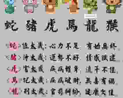 谜语两小无猜是什么生肖？教你如何正确猜出生肖