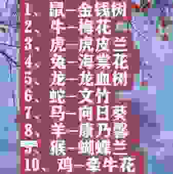 公认的花言巧语三大生肖，看看你的属相有没有上榜！