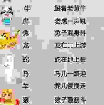 鼠肚鸡肠是什么生肖？看完这个生肖解析你就明白了