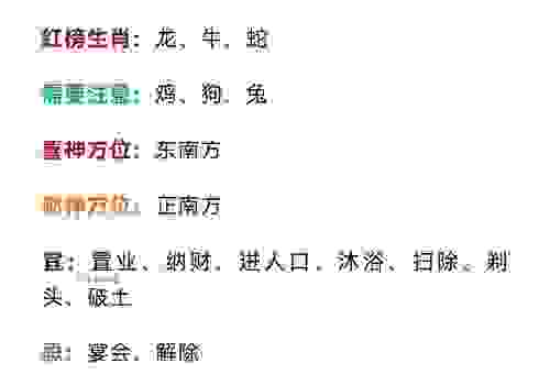 明日黄花代表什么生肖？这几个说法你一定要知道！