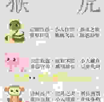 明日黄花代表什么生肖？这几个说法你一定要知道！