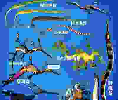 石潭波动戏鱼龙指哪个动物？为您详细解读其中的玄机！