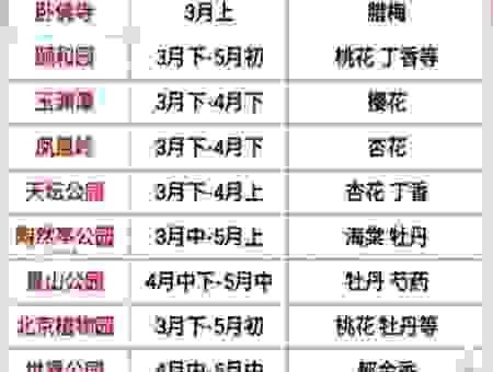 采花季节到了怎么选？不同品种的采花时间指南