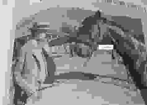 想知道sea biscuit的赛马生涯吗？深度解析它的辉煌时刻