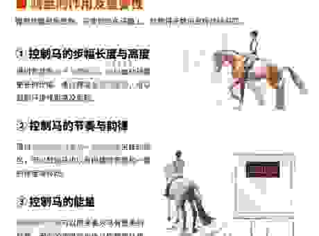 快速了解马舞是什么意思，新手入门必看的解读