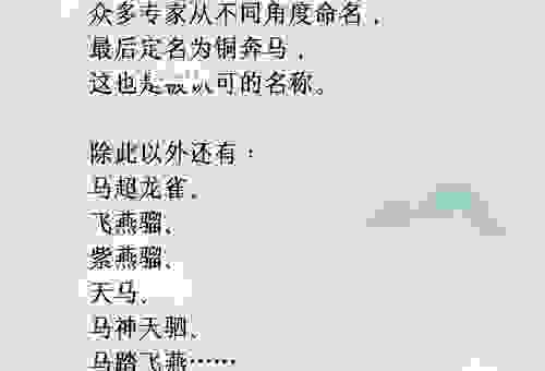 快速了解马舞是什么意思，新手入门必看的解读