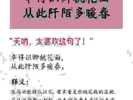 人面桃花是什么意思？这句古诗词背后的故事真感人